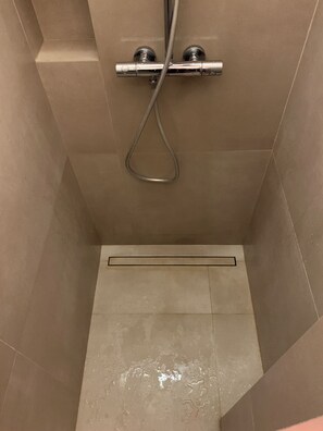 淋浴设施、吹风机、毛巾、肥皂