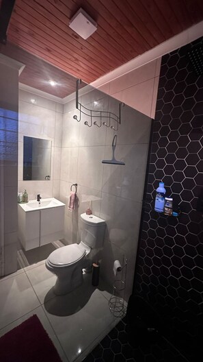Ein modernes Badezimmer mit Toilette, Waschbecken und Dusche.