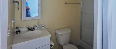 Une salle de bain comprenant des toilettes, un lavabo, un miroir et une douche.