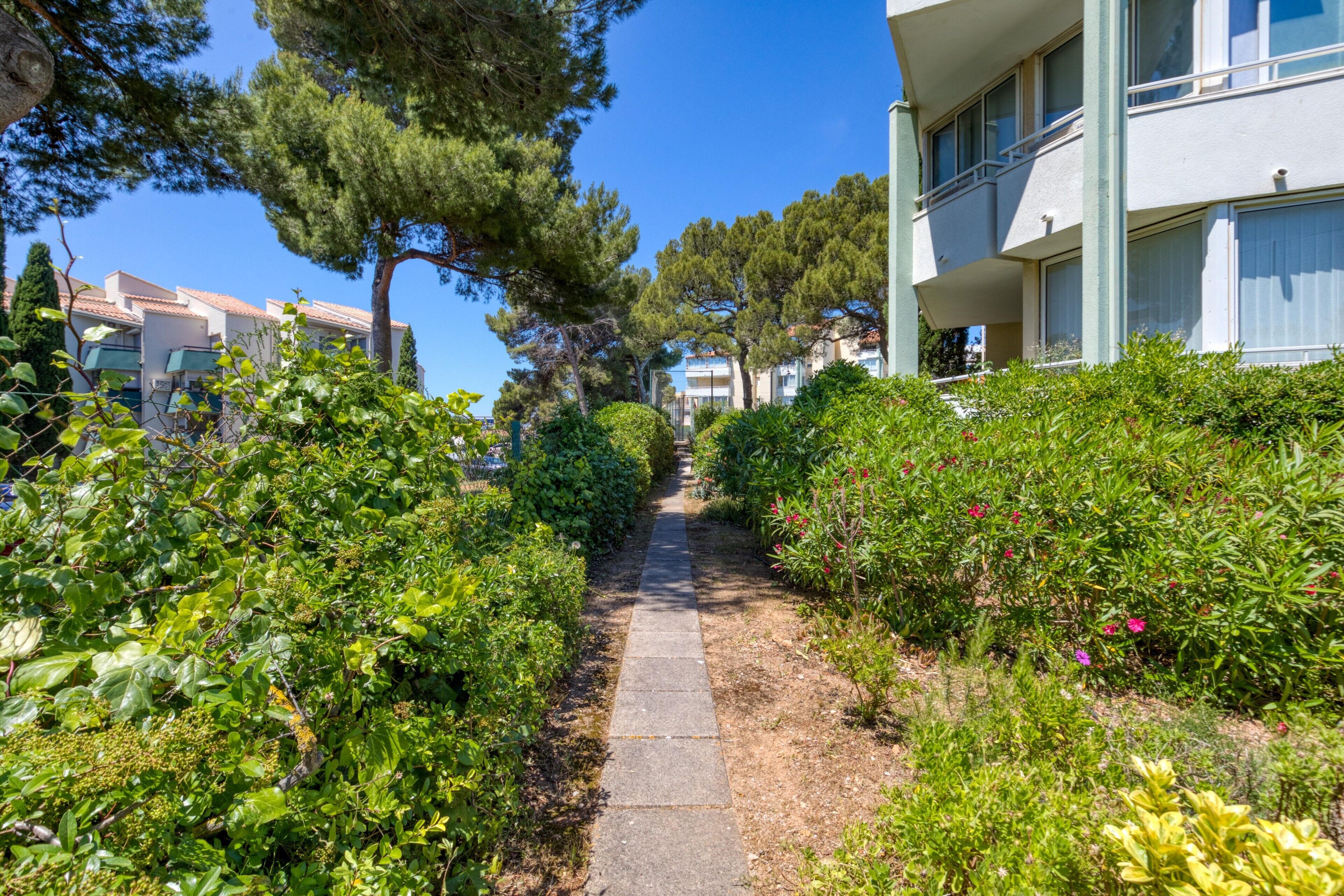 A pathway flanked by lush greenery and a building with balconies.