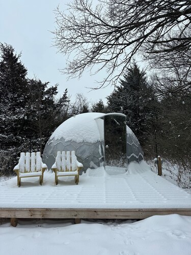 Cozy Dome Under the Stars - Dome 3