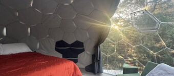 Cozy Dome Under the Stars - Dome 3