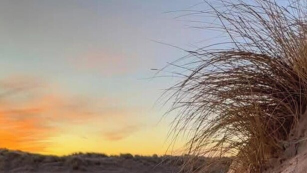 Ein sandiger Strand mit sanften Böschungen und spärlicher Vegetation.