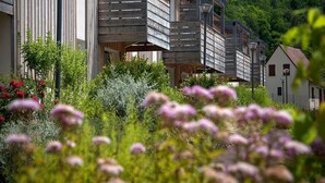 Ein modernes Gebäude mit Holzbalkonen, umgeben von üppigem Grün und Blumen.
