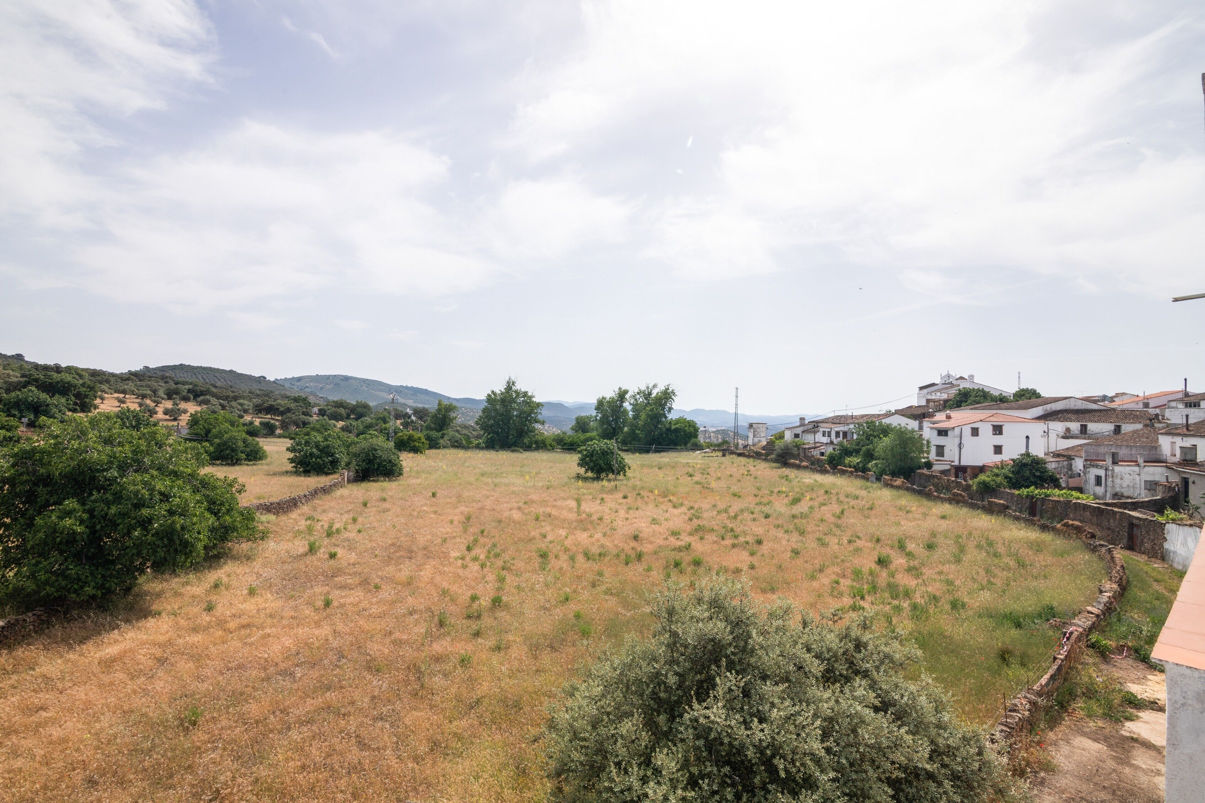 A rural landscape with a field, trees, and a distant village with buildings.