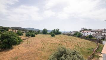 A rural landscape with a field, trees, and a distant village with buildings.