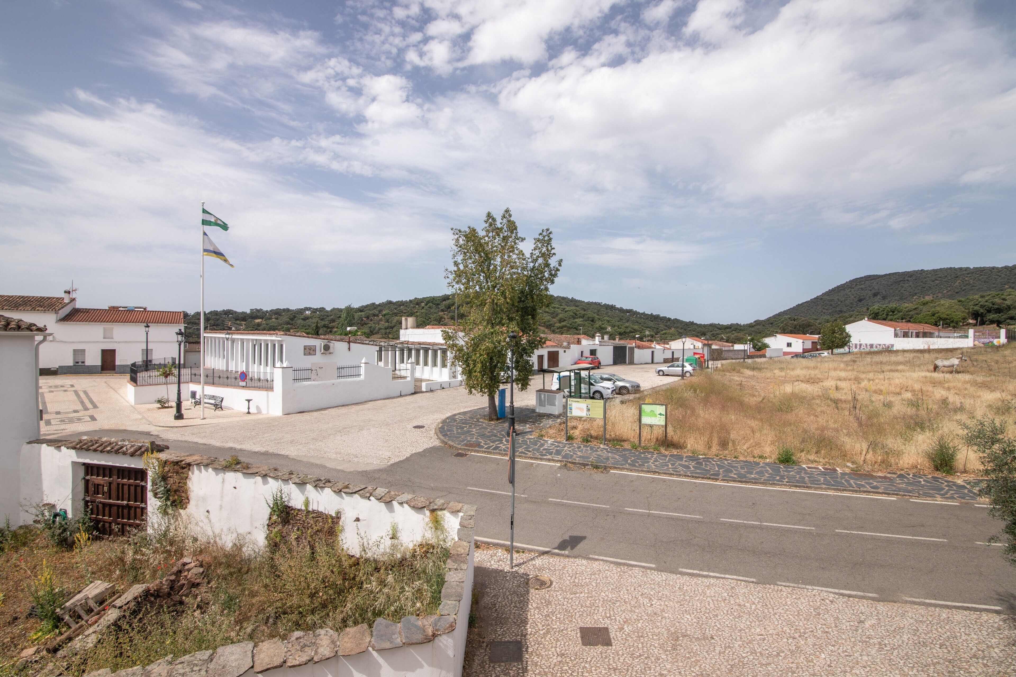 A street view with buildings, a flag, and a hill in the background.