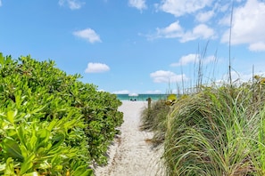 A sandy beach path flanked by dense green vegetation leading to a beach with a clear blue sky. - Coconuts 102 ~ Poolside ~ Beachfront Complex (Holmes Beach)
