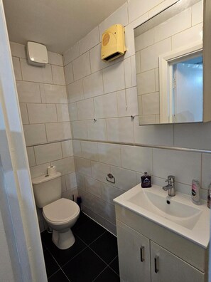 Soap - Lovely Boutique Modern Studio Flat (Entire Place) (London)