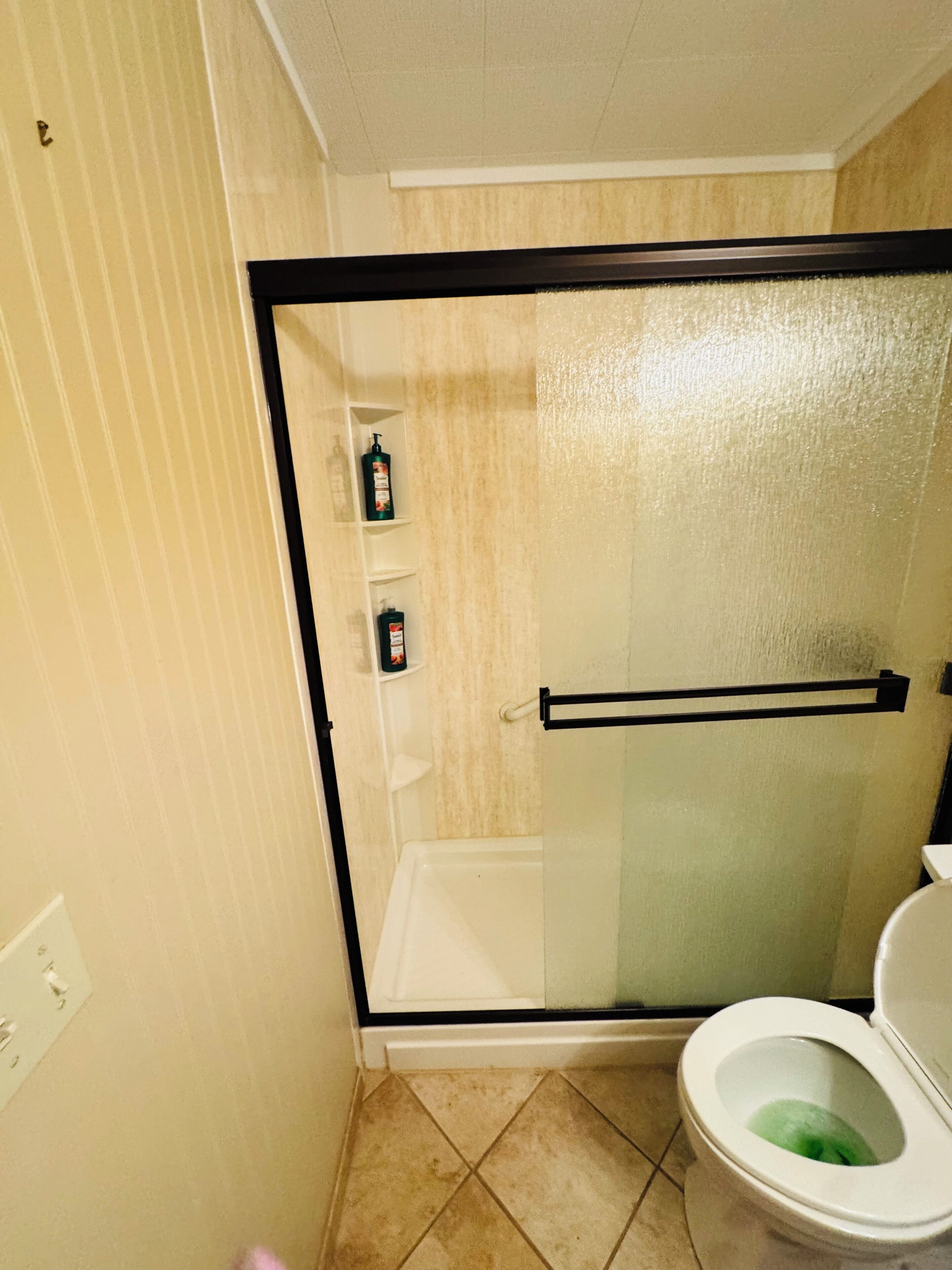 A bathroom with a glass-enclosed shower, a toilet, and two shelves with toiletries.