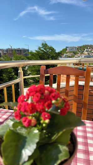 A balcony with a potted plant, a wooden chair, and a railing.