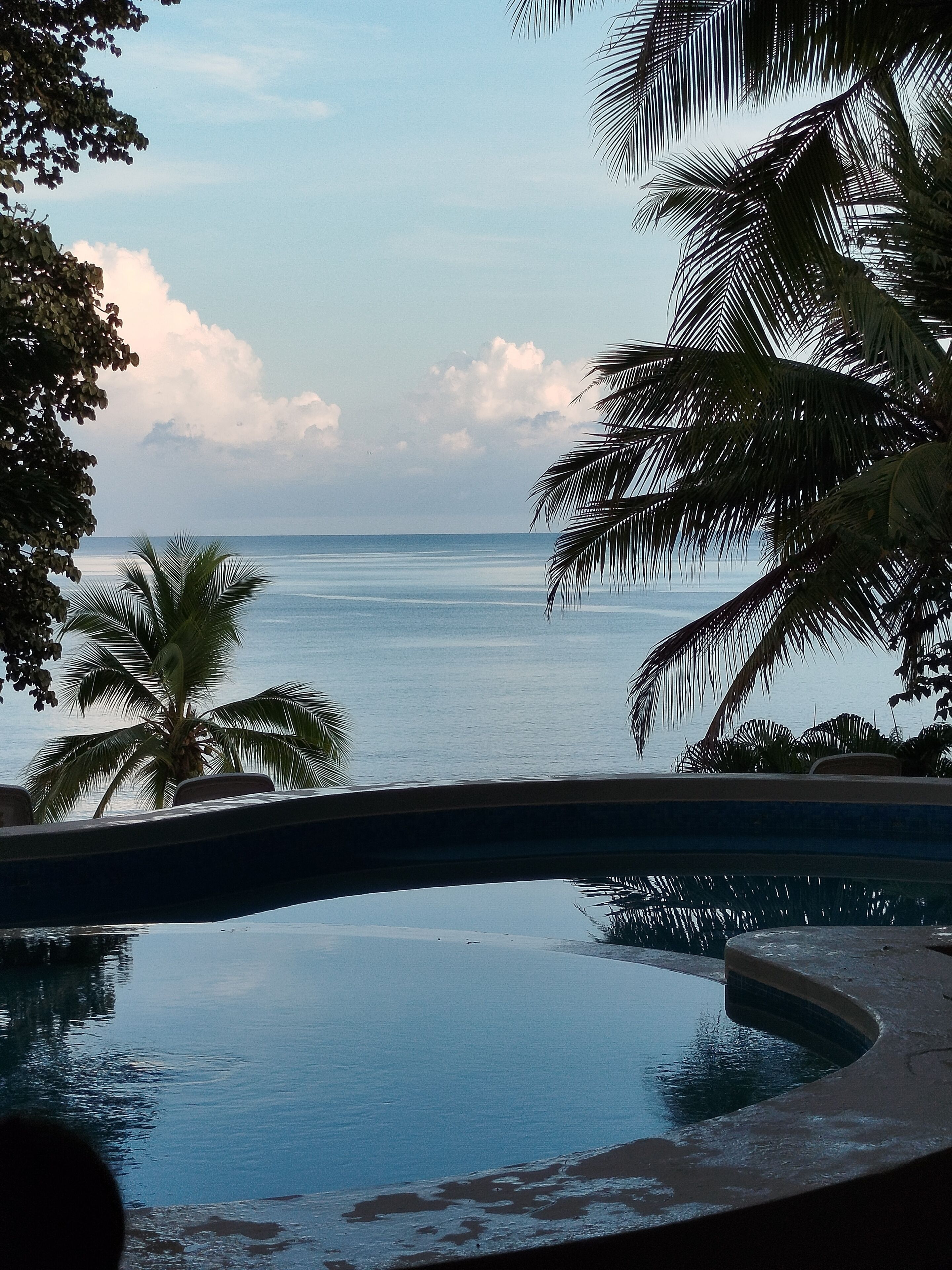 Una piscina con vista al océano y palmeras.