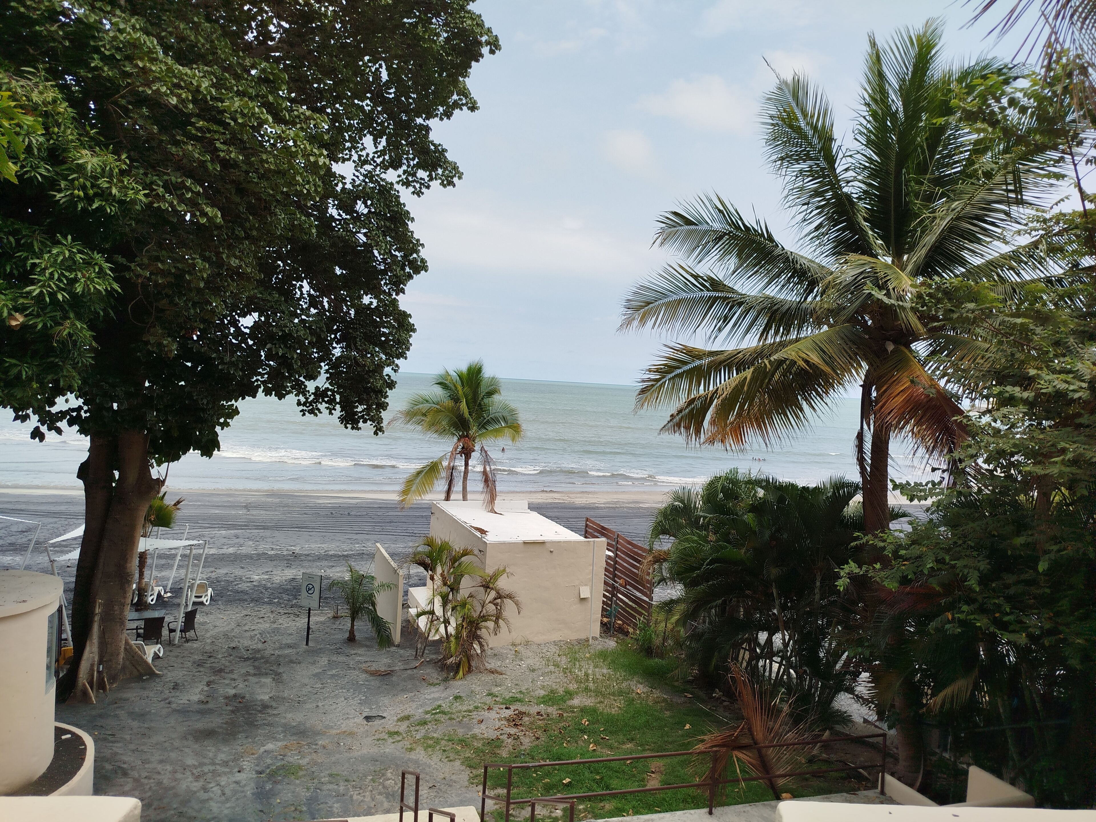A beach view with palm trees, a sandy area, and a building with a flat roof.