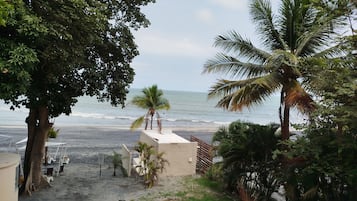 A beach view with palm trees, a sandy area, and a building with a flat roof.