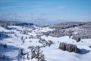 A snow-covered landscape with a small village, houses, and a church. - Forestum - Black Forest Luxury Apartments - Apartment Fuchs with sauna (Sankt Blasien)