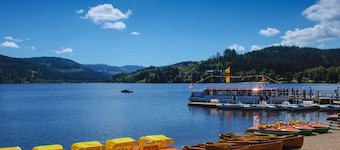 Forestum - Black Forest Luxury Apartments - Apartment Fuchs with sauna