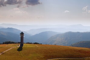 A tower structure on a hill with a clear path leading to it. - Forestum - Black Forest Luxury Apartments - Apartment Fuchs with sauna (Sankt Blasien)