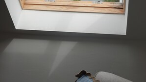A skylight window with a view of a body of water and greenery.