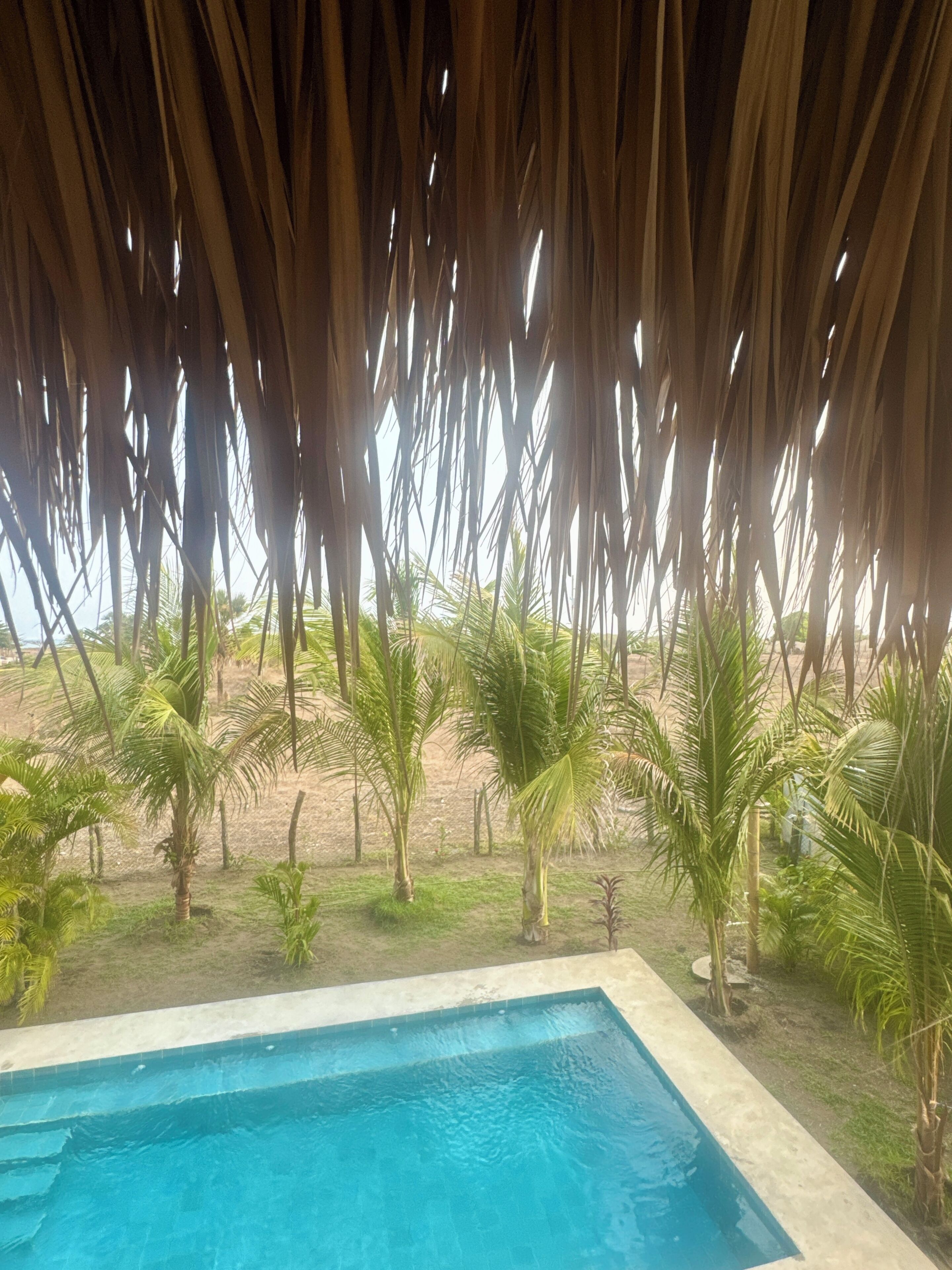 A pool with a clear blue water surface, surrounded by palm trees and a thatched roof overhead.