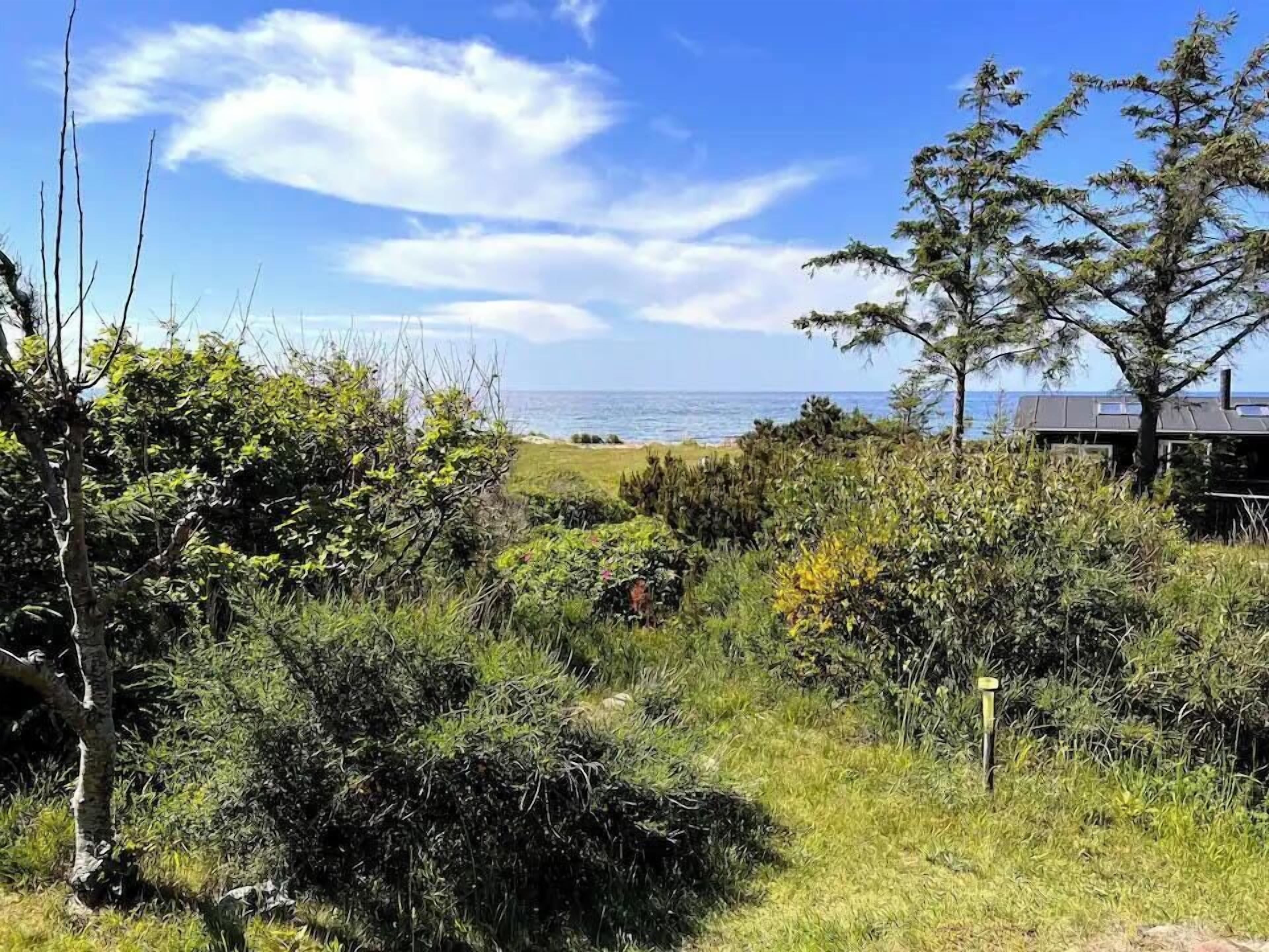 Et kystlandskab med frodig vegetation, en klar himmel og et fjernt hav.