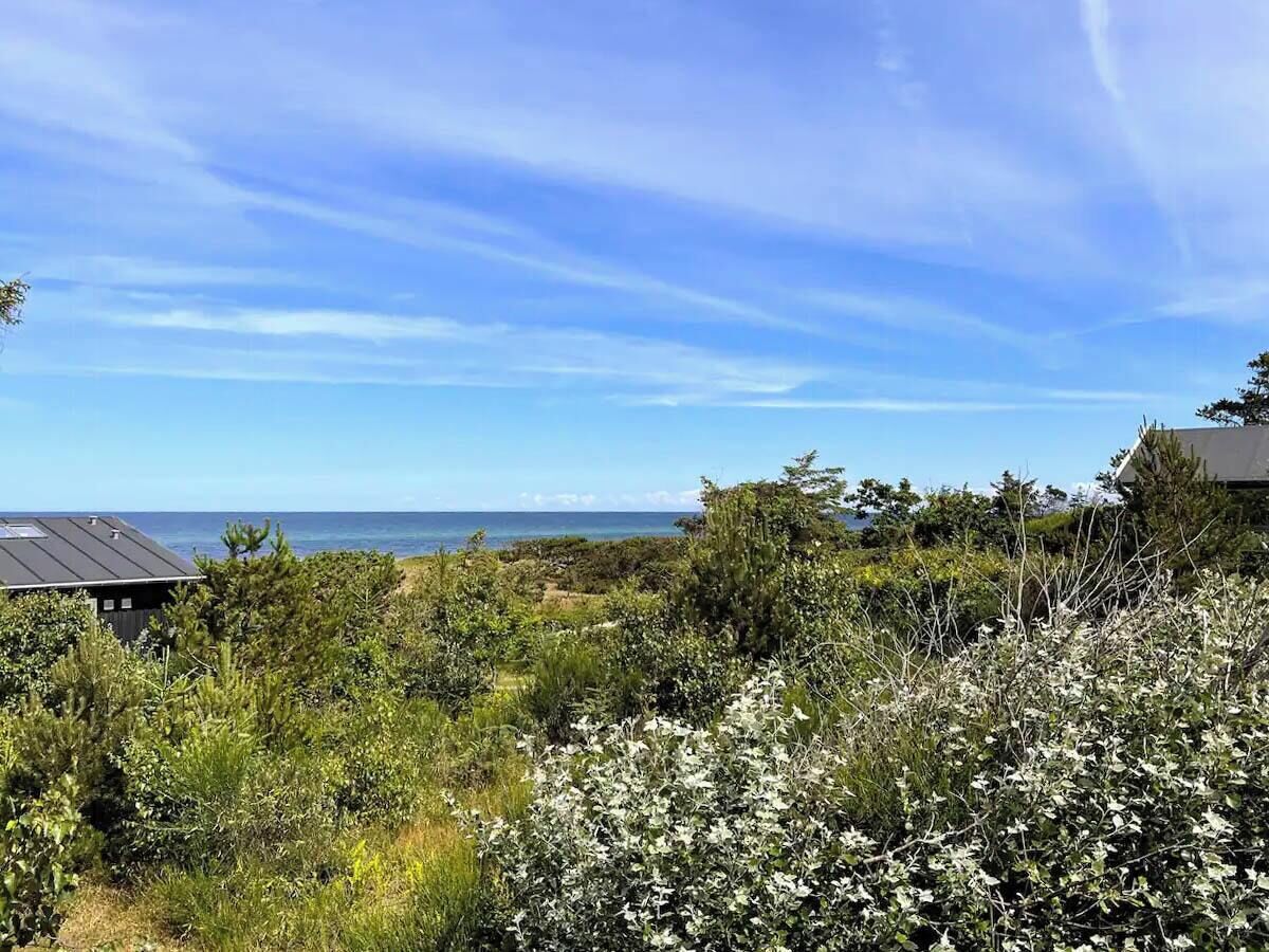 A coastal landscape with a building, dense vegetation, and a clear view of the sea.