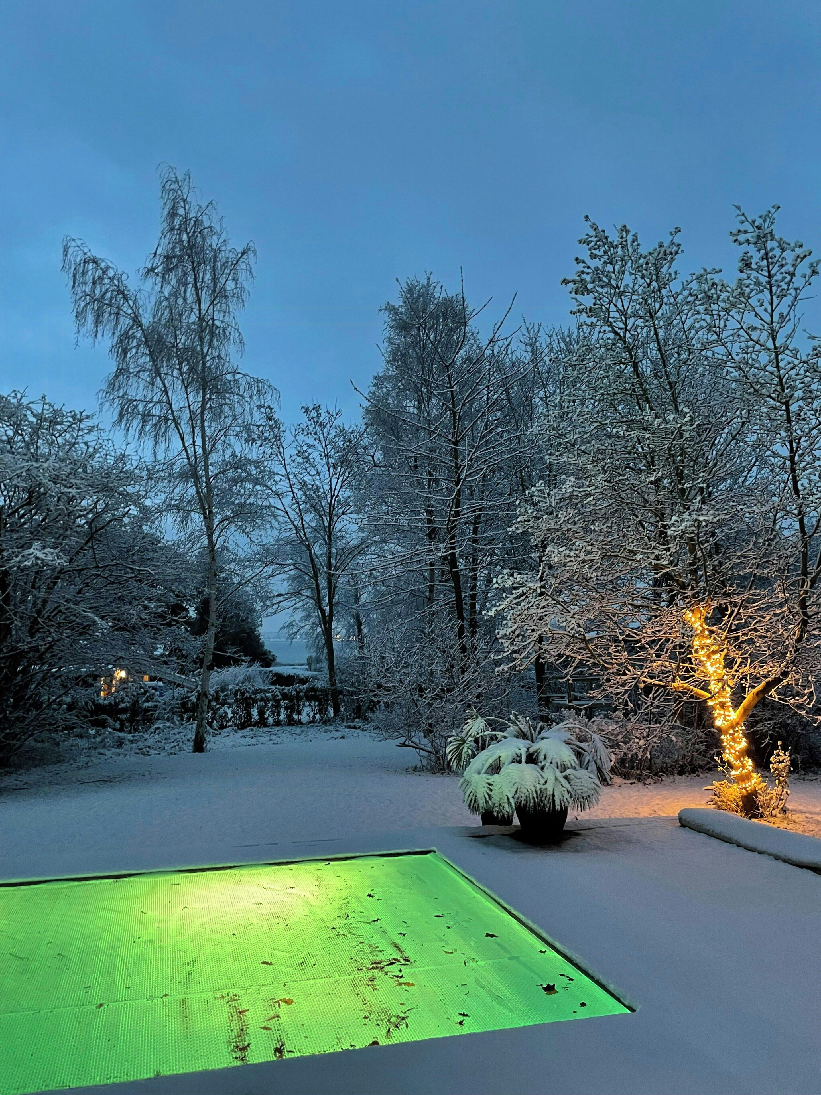 A snow-covered garden with trees and a green-lit area.