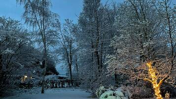 A snow-covered garden with trees and a green-lit area.
