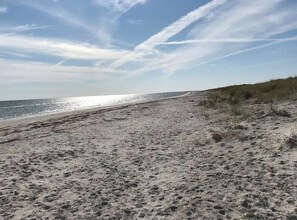 Beach - Protected nature staying near beach through green (Sæby)