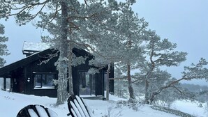 Property grounds - Family cabin with views in Hillestad (Dølemo)