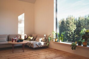 Fernseher, Kamin