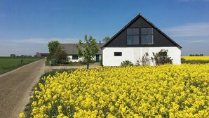A white building with a black roof, a dirt road, and a field of yellow flowers. - Holiday home with greenhouse near Mälarhusen (Skåne län)