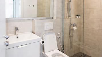 Douche, séchoir à cheveux, serviettes fournies, savon