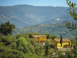 Exterior - Apartment with terrace and pool near Lucca (Lucca)