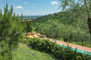 Property grounds - Apartment with terrace and pool near Lucca (Lucca)