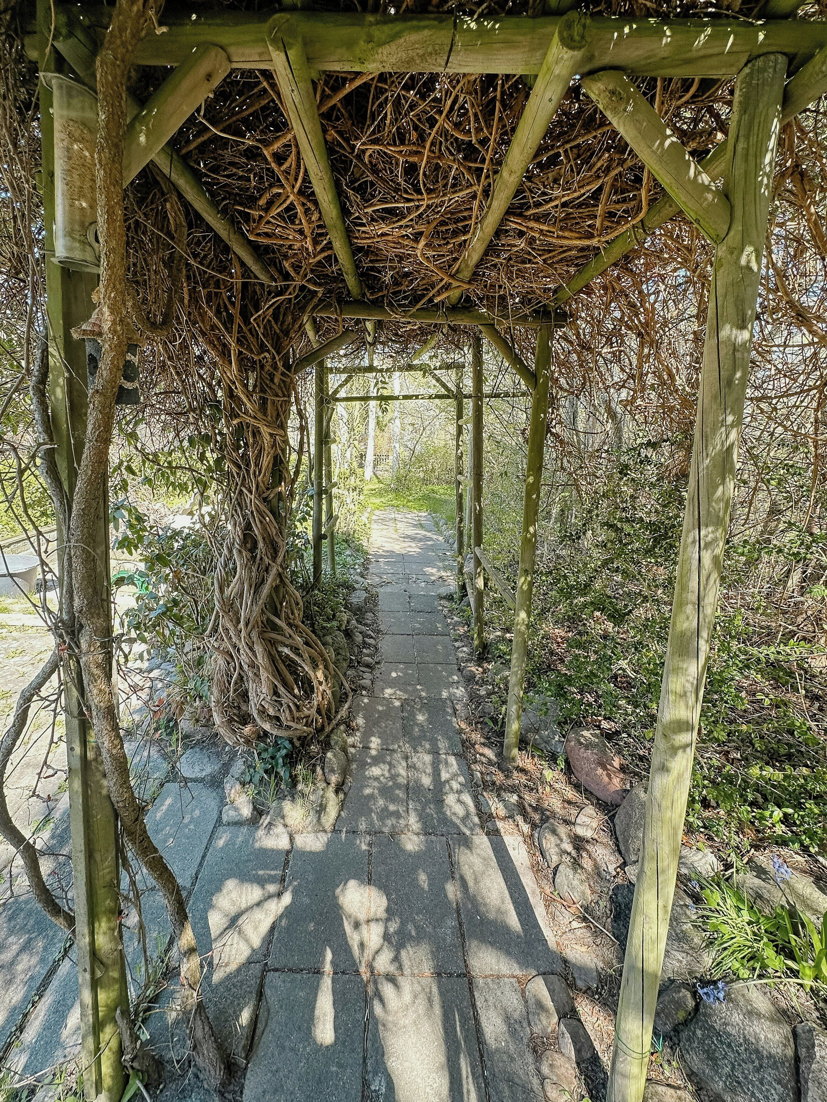 A wooden pergola structure with a stone pathway leading through it.