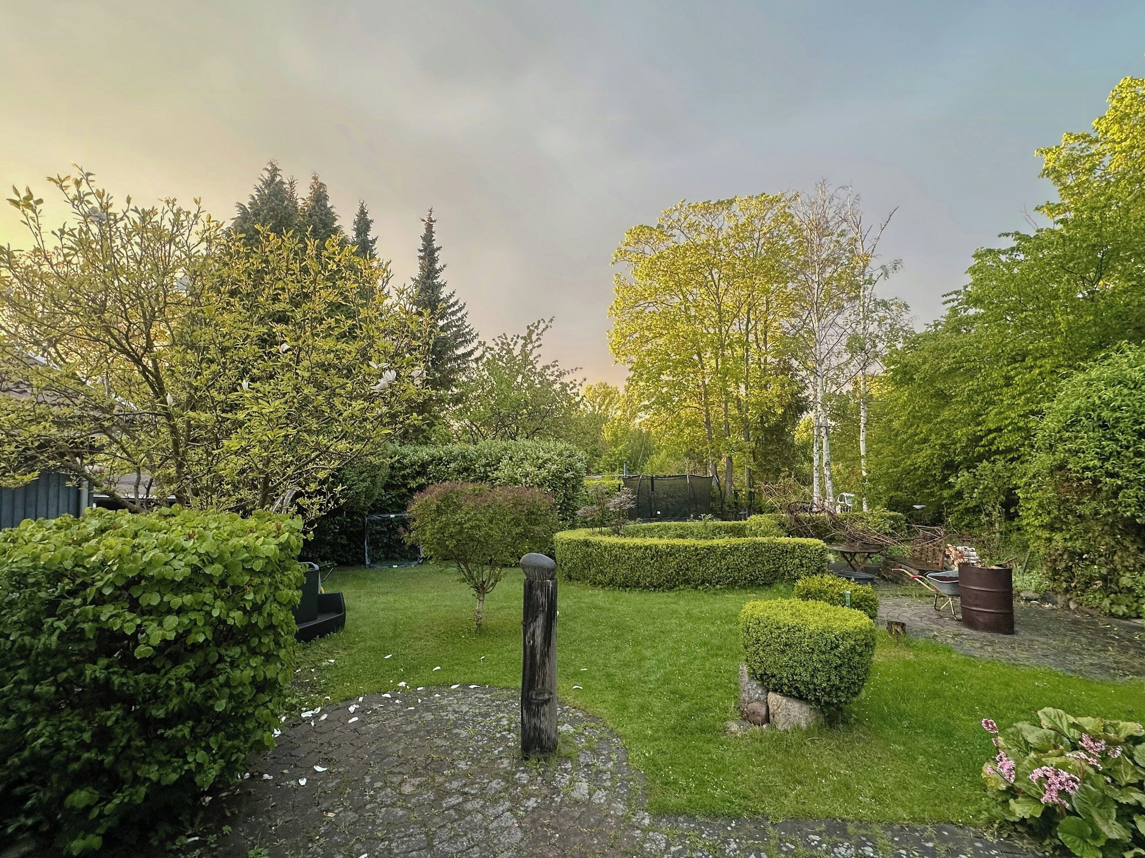 Een tuin met diverse planten en een pad van stenen.