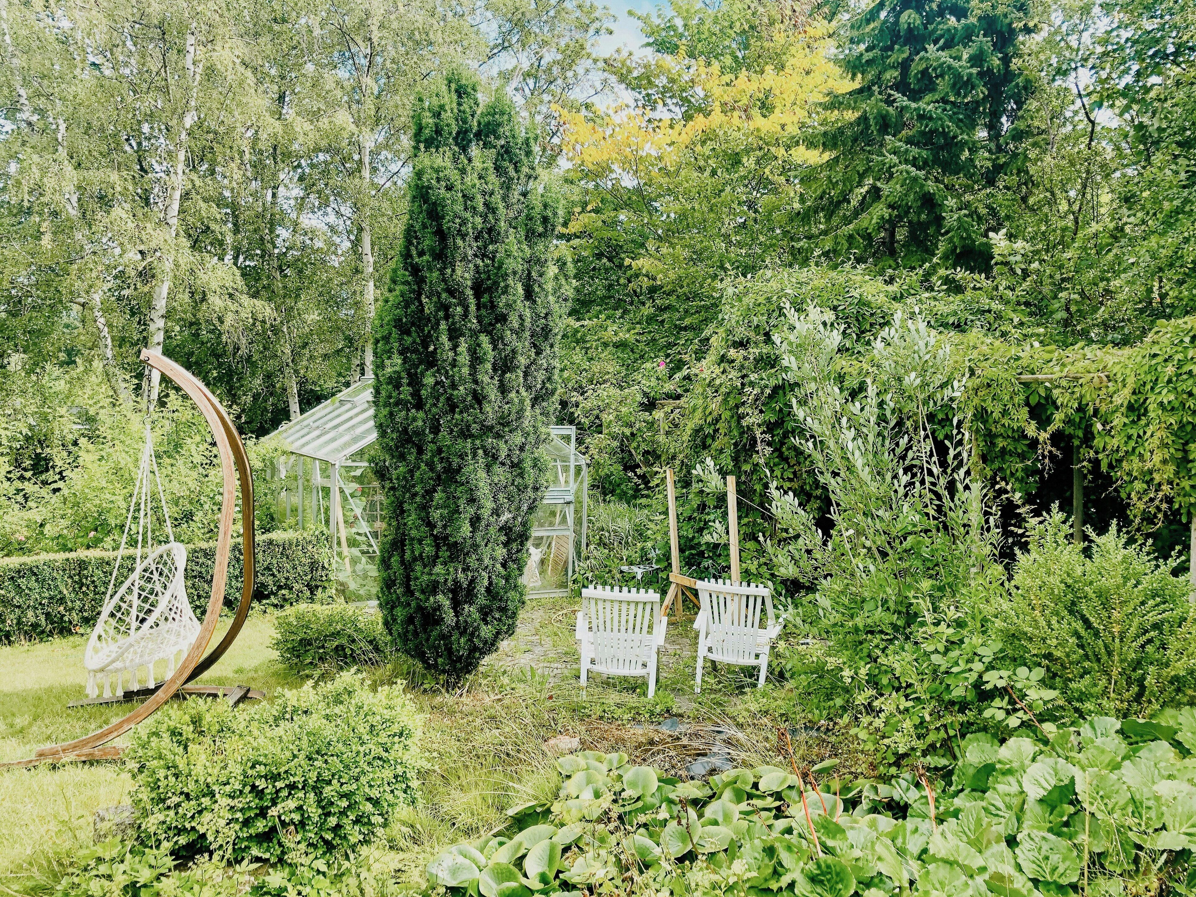 A garden with a swing, a greenhouse, and white chairs.