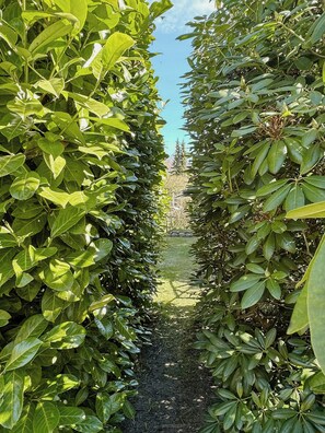 A garden pathway flanked by dense green foliage, leading to a distant view of a building. - Enchanted garden by Kulhuse (Jægerspris)