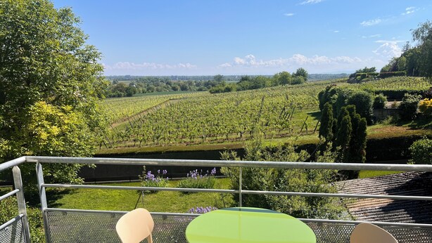 A balcony with a table and chairs, overlooking a vineyard. - On the wine route and Christmas markets (Beblenheim)
