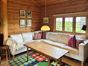 TV, fireplace - Large log house with sea views in Klint Hills (Nykøbing Sjælland)
