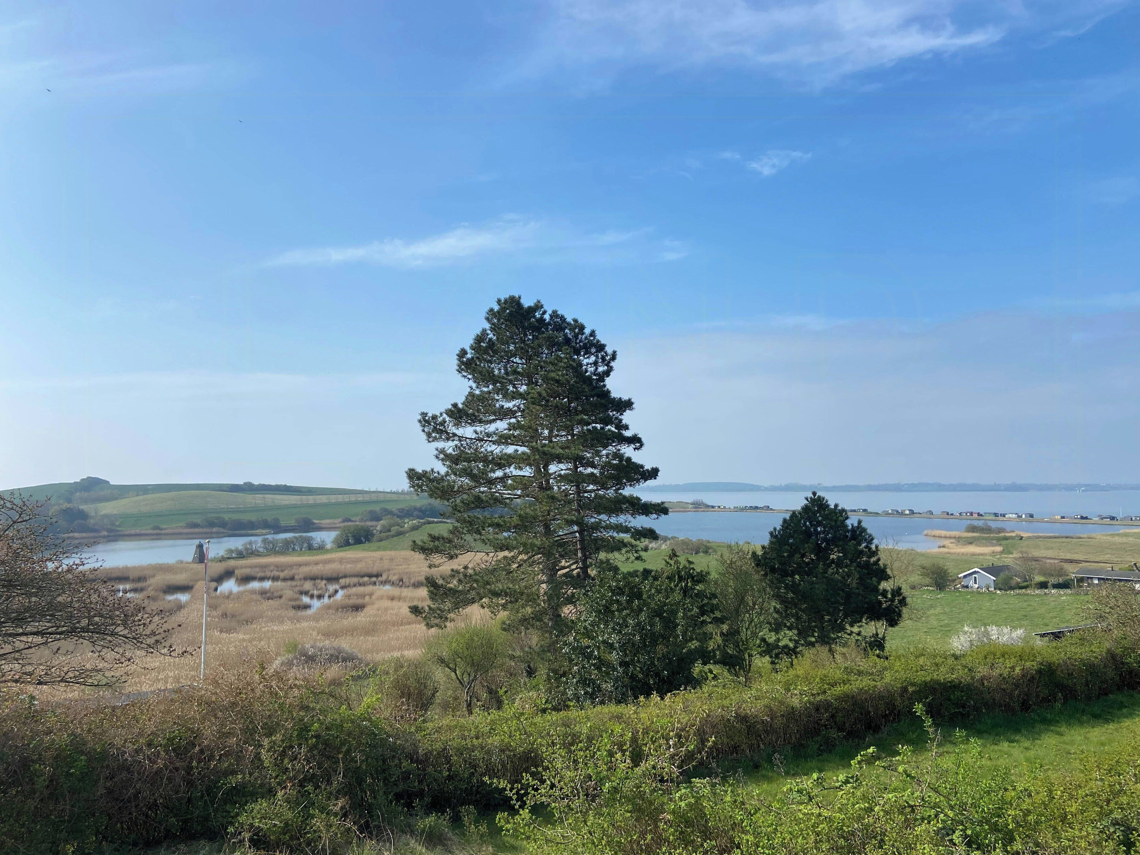 A landscape with a prominent pine tree, a body of water, and distant hills.