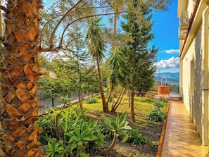 Ein Garten mit verschiedenen Pflanzen, einer Palme und Blick auf die Berge.