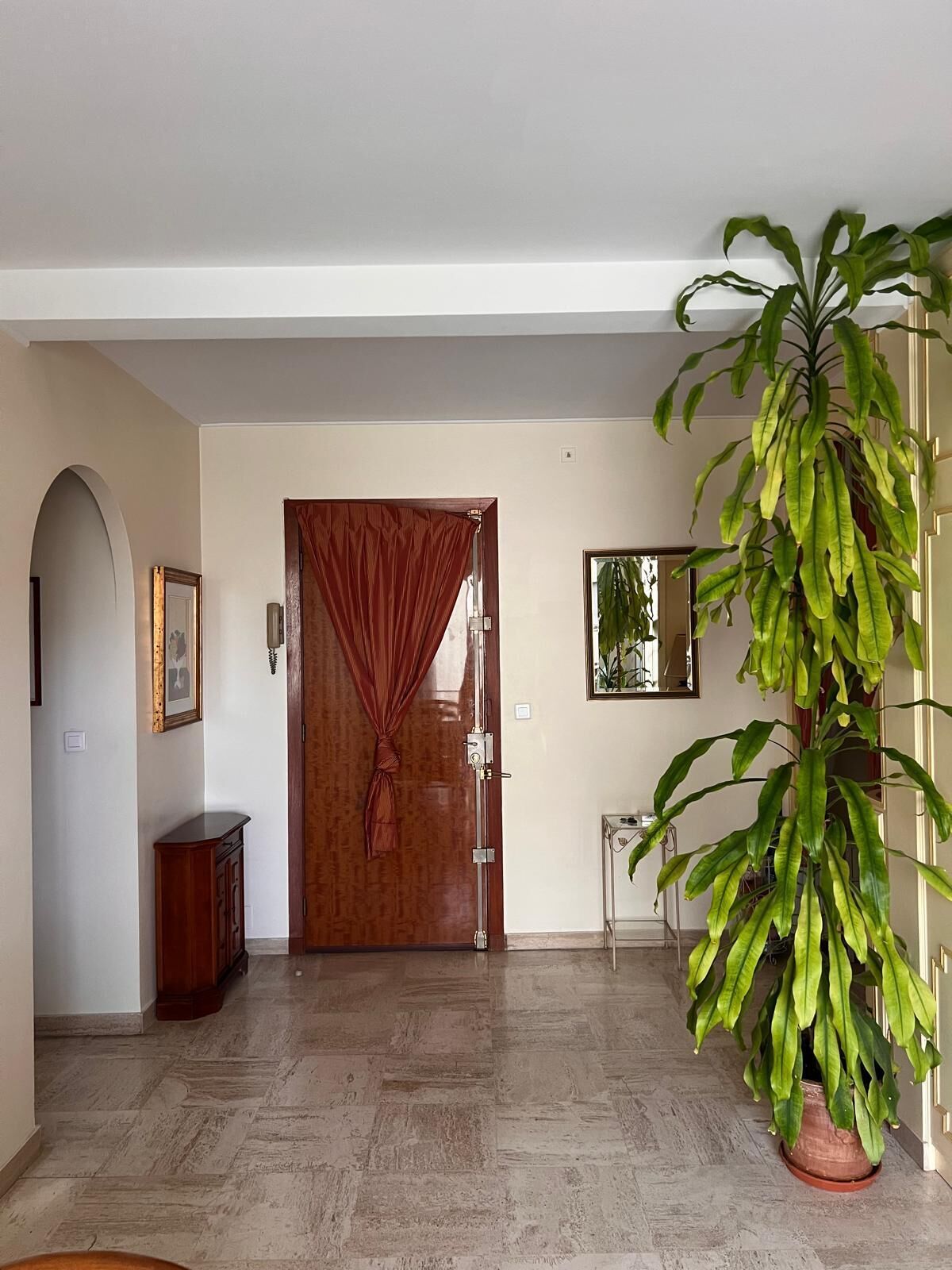 A hallway with a wooden door, a large potted plant, a framed picture on the wall, and a small cabinet.