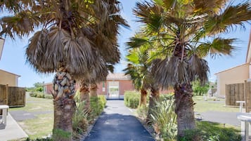 House | Property grounds
