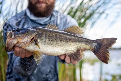Pet Friendly | Private Dock & Direct Canal Access