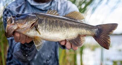 Pet Friendly | Private Dock & Direct Canal Access