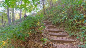 Holzstufen führen einen Hügel hinauf, umgeben von dichtem Grün und Bäumen.