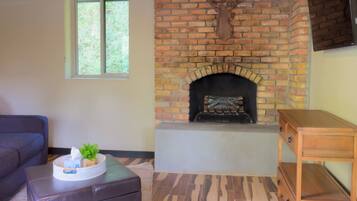 TV, fireplace