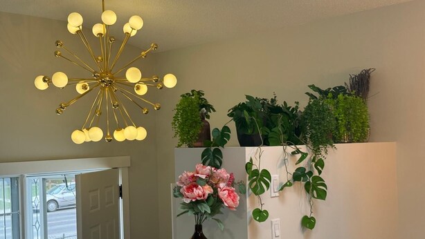 Une pièce dotée d’un lustre moderne, d’une fenêtre offrant une belle vue et d’une étagère murale pour les plantes.