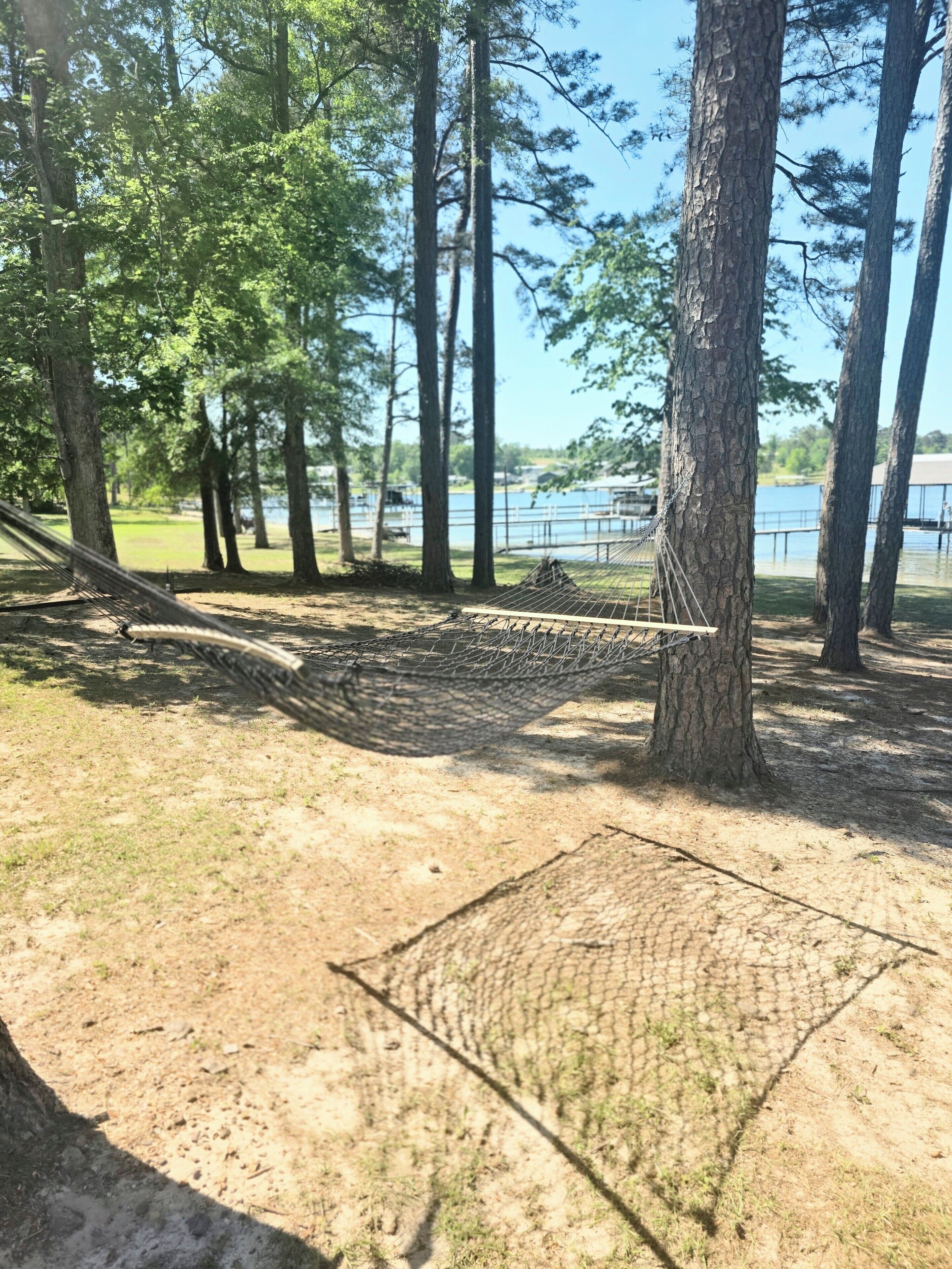 Una hamaca entre árboles en un parque, con un lago al fondo.